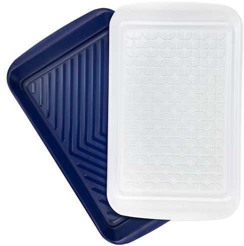 Tovolo Steak Marinating Container Large Grill Marinade and Prep Tray Set for Meat Veggies Burgers, Dishwasher Safe BBQ Marinating Tray with Cover for Thawing Prepping or Serving 17x10.5 in