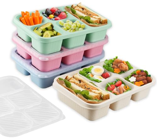 Toivize 4 Pcs Snack Box with Compartments, 5-Compartment Bento Lunch Box Snack Boxes for Kids and Adults with Transparent Lid for School Work Travel Picnics (Beige/Blue/Pink/Green)