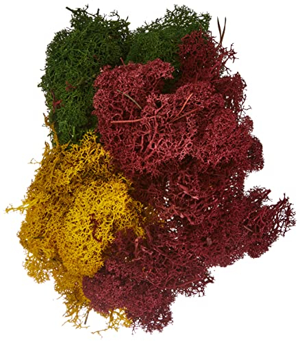 NOCH® Dekormoos, Gras-Dekoration in herbstlichen Rottönen, Grüntönen und Gelbtönen, 75 g Beutel für Modellbau, Miniaturwelten und DIY Bastelprojekte.