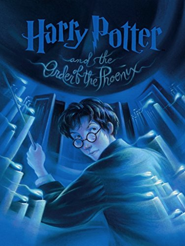 New York Puzzle Company - Harry Potter Order of The Phoenix - 1000 Stück Jigsaw Puzzle