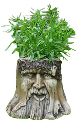 Daisy Bumbles Garden Planters, Novelty Tree Stump Garden Planter Wood Carved Man's Face Winking Eye Effect Patio Yard Ornament Decorative Flower Pot Resin Art H: 25cm W: 30cm D: 25cm