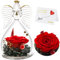 Qinqinxin Geschenke für Mama Oma, Infinity Rosen Engel Figur Geburtstagsgeschenk für Frauen, Originelles Ewige Rose im Glas Geschenke für Mutter Oma zu Weihnachtstag Muttertag Valentinstag Geburtstag