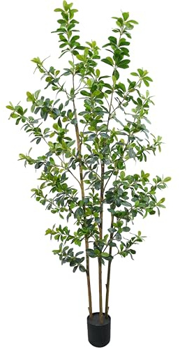 Zsenent Premium 3 Main Trunks 6 ft Faux Black Olive Tree, Realistic Olive Trees Artificial Indoor, Low-Maintenance Fake Tree, Ideal Artificial Tree for Home Office Décor (Gtreen, 6 ft)