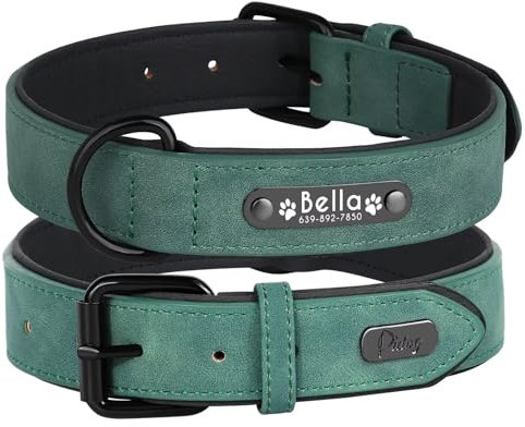 Didog Soft PU Leather Padded Custom Dog Collar with Personalized Nameplate and D Ring, Engraved Dog Collars for Small Medium Large Dogs,Green,S