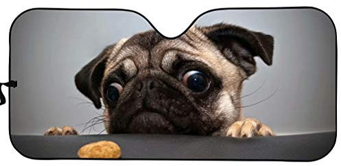 Chaqlin Parasol universal para coche, diseño de gato, color negro, mantiene tu vehículo fresco con reflector UV y de calor