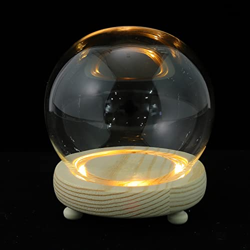 FOMIYES Glasglocke, dekorativ, transparent, mit Holzsockel, Glas, runde Kugel, Glockenabdeckung, Mittelstück für Zuhause, Büro, Party