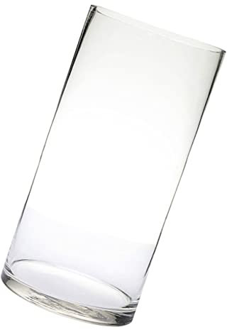 FUNOMOCYA Grand Vase Cylindrique en Verre Grand Vase Oblong Vases À Fleurs Vases À Fleurs Décoration Dintérieur Design Élégant