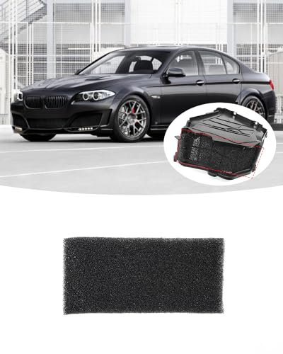 Filtro grueso de esponja a prueba de polvo para motor de ventilador para BMW F01 F02 F10 F11 F18, filtro de esponja a prueba de polvo para aire acondicionado de caja de evaporador para BMW 5 7 Series