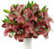 12 Stück Rote Künstliche Lilie Blume, Realistischer Langer Stiel Real Touch Stargazer Lilie, Faux Lily Fake Fake Blumen Mit Ruten Für Home Party Hochzeitstisch Herzstück Garten Diy Brüfungendecrage