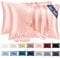 Vielit 2er Set Satin Kissenbezug 50x80 Rosa, Weich wie Seidenkissenbezug,Bessere Pflege als Silk Pillosecase,Satin Kopfkissenbezug 50x80 Kissenhülle für Haar und Haut mit 2 Haargummis