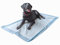 SpeedwellStar Trainingsunterlagen für Welpen Puppy WC Welpentoilett 120 Extra Groß 150 x 80 cm ohne Duft Hygieneunterlagen für Haustiere Absorbiert Matte