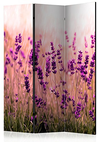 murando Raumteiler Lavendel Natur Wiese Foto Paravent 135x172 cm einseitig auf Vlies-Leinwand Bedruckt Trennwand Spanische Wand Sichtschutz Raumtrenner violett b-B-0111-z-b