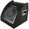 30W Drum Amplifier: Amplifier