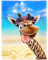 Zomer Kuscheldecke Flauschig Decke 150x200 cm Wohndecke Couchdecke Mikrofaser Sofaüberwurf Tagesdecke weiche warme Sofadecke mit Lustig Giraffe & Strand Motiv
