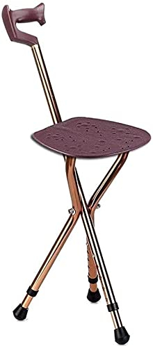 Gehstock aus massivem Holz, Krücke, Klapphocker für ältere Menschen, lässiger tragbarer Hocker, Stativ-Sitzstock Present