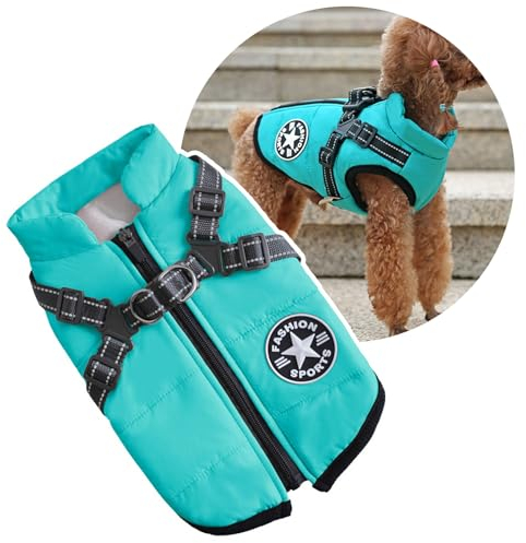 Oncpcare Hundejacke für kleine Hunde mit Hundegeschirr, Outdoorjacke, warme Winterjacke für Katzen, Welpen und kleine Hunde, Blaugrün