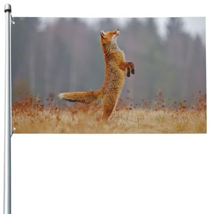 Bandiera rossa da 90 x 60 cm, con volpe rossa, per caccia e fauna selvatica, per casa, prato, decorazione per cortile, bandiere di benvenuto con 2 occhielli in metallo, per uso interno ed esterno