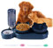 Cuenco para Mascota con Doble tazo y un dispensador de Agua, Antideslizante, reclinable a 15º, para Perros pequeños y Gatos: Comedero y Bebedero para tu Mascota. (Incluye Cepillo Dental)