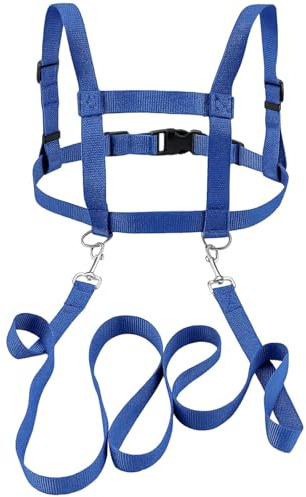 Pferdeleine Zum Spielen Für Kinder, Blau Pferdegeschirr Für Kinder, Kinder Leine Outdoor Spielzeug Für Rollenspiele, Verstellbares Pferdegeschirr Für Jungen Und Mädchen, Ideal Für Skifahren Und Famili