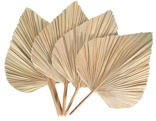 Fpreeza 4Pcs Dried Palm Leaves Dried Palm Fans Bohemian Dried Palm Spears Artificial Plants Palm Leaves Tropical Palm Leaves