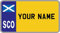 Ellis Graphix Scotland Personalised Self-Adhesive 90 x 50 mm Children's Kids Number Plate Sticker to fit Cozy Coupe