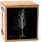 LED-Baum Birke weiß 160 cm hoch mit 200 LED warmweiß LED-Beleuchtung Lichterbaum innen außen