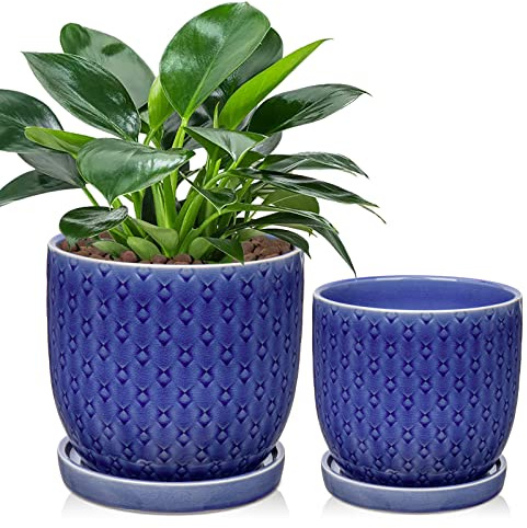 Lot de 2 pots de fleurs d'intérieur en céramique à motifs avec trou de drainage et soucoupe séparée pour plantes succulentes Bleu Diamètre 16,5 cm/13,5 cm