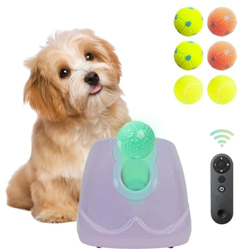MKSY - Automatischer Ballwerfer für Hunde, Ballwerfer für Hunde, interaktives Haustierspielzeug mit Bällen (Lila mit Fernbedienung)