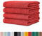 BaSaTex - Handtuch Set für Haushalt & Gäste 4er Pack - Frottee-Handtücher mit Aufhängeschlaufe aus weicher Baumwolle in 50x100cm - Waschtücher für Bad Öko-Tex Standard 100 Zertifiziert - Rubin
