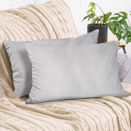 2er Set Sofakissen mit Füllung und Bezug 40x60cm weiche Kissenhülle mit Dekokissen Couchkissen für Sofa, Schlafzimmer, Wohnzimmer, Balkon, hellgrau Moonlight flauschig, mit verstecktem Reißverschluss
