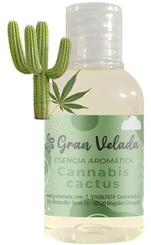 Esencia Cannabis Cactus GV | Fresca fragancia floral con notas de geranio, almizcle y el toque distintivo del cannabis