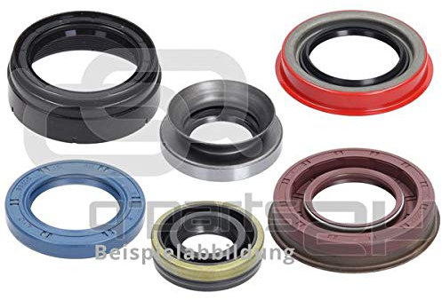 Reinz 81-35521-00 Wellendichtring, Kurbelwelle
