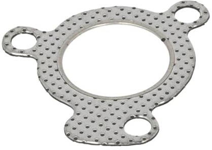 BOSAL Dichtring, Abgasrohr 256-318