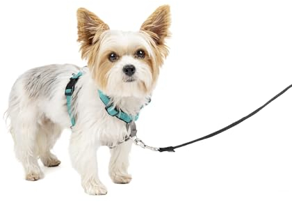 PetSafe 3-in-1 Hundegeschirr, Anti-Zieh, Hundegeschirr für Autogurt, Hundegeschirr Auto, Anti-Zug Hundegeschirr, Reflektoren, Geschirrgriff, Größe XS ; schwarz, blau, lila