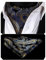 HISDERN Krawattenschal Herren Marine Hochzeit Punkt Halstuch Taschentuch Paisley Business Ascot Krawatte und Einstecktuch Set