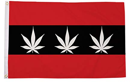AZ FLAG - Flagge Amsterdam Rasta - 150x90 cm - Amsterdam Fahne 100% Polyester mit Messing-Ösen - UV-beständig - Vives Farben - 110g