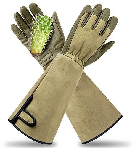 Yionaiyi Gants de jardinage professionnels anti-épines avec longue protection de l'avant-bras pour homme et femme (1 paire) (vert, taille M)