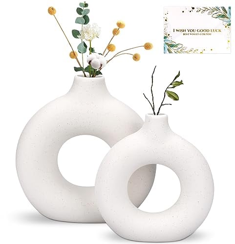 TAVADA Set di 2 Vaso di Ceramica,Vase Decoratif Vaso Ceramica Rotondo da Fiori Decorativo in Stile Moderno per La Decorazione del Soggiorno Camera da Letto e Dell'ufficio