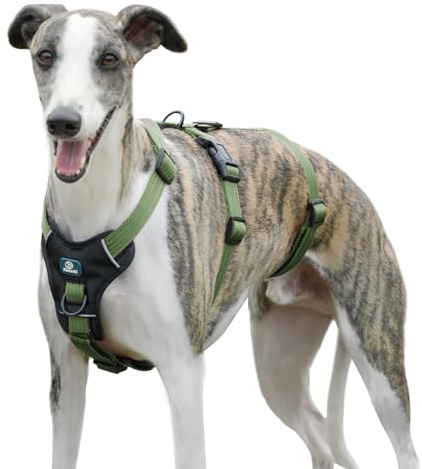 Paworld Sicherheitsgeschirr Hund, Panikgeschirr für Hunde, Ausbruchsicheres Geschirr Hund, Anti Zug Hundegeschirr, Atmungsaktiv, Verstellbare Weste für große Hunde, Gehen und Training (Grün, L)
