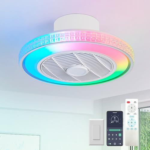 LOKUNM Ceiling Fans with Lights RGB Reversible Ceiling Fan Light 40CM 6 Wind Speeds Fan Light Low Profile Dimmable Ceiling Fans with Lights Timer Memory Fan Lights Ceiling for Bedroom,Kitchen