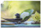 ARTLAND Wanddeko Poster & Kunstdrucke Wandposter 30x20 cm Spa Wellness Deko innere Ruhe Zen Steine Lilien Blumen U5HQ