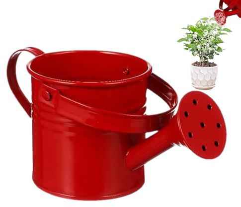 – de Acero galvanizado de 6 L | Cabezal de aspersor de Rosas Desmontable, Lata de Exterior a Prueba de óxido | Boquilla Larga para jardín, Plantas de Interior de Interior, decoración