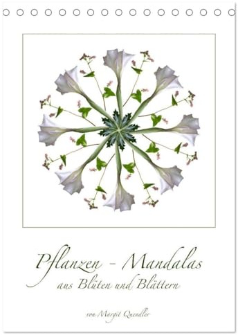 Pflanzen - Mandalas aus Blüten und Blättern (Tischkalender 2026 DIN A5 hoch), CALVENDO Monatskalender: Grafiken aus Blüten und Blättern (CALVENDO Natur)