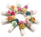 Summer-Ray Lot de 20 mini pinces à linge en bois blanc décorées à la main en forme de fleur de mûrier