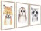 ag.art deco 3er Kinderzimmer Poster | 3 Stück 40x50cm | Wanddeko Fuchs Eule Waschbär Porträt | Mädchen und Junge Bilderset | ohne Rahmen