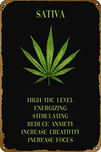 Blechschild, Cannabis Sativa Marihuana, Retro-Design, Retro-Poster, Schlafzimmer, Café, Zuhause, Pub, Club, Wandschilder, Dekoration, Vintage-Blechposter, 20,3 x 30,5 cm