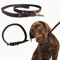 1,5 Meter Premium Leder Hundeleine und Halsband Set für stilvolle Hunde, weiches Lederhalsband und Starke doppelt geflochtene Leine, bequemes und sicheres Hundetraining, Spielen (Groß)