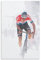 Mathieu Van Der Poel Radfahrer Leinwand Poster High Definition Druck für Home Office Wall Art Deco 50 x 75 cm Stil