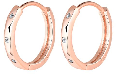 925 Argent Sterling Boucles D’oreilles pour Femmes Fille 14mm Poissons Zircon Hypoallergénique Dame Créoles Boucles D'oreilles Fête des Mères Femme Maman Amie Épouse Sœur Cadeaux D'anniversair Or Rose