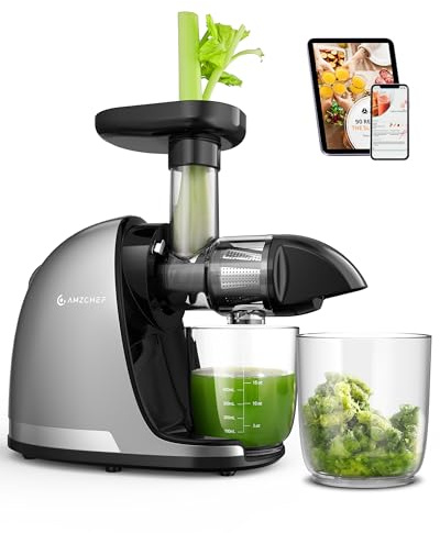 AMZCHEF Juicer Machines - Cold Press Slow Juicer - Masticating Juicer for Whole Fruits and Vegetables - Delicate Chew No Need to Filter